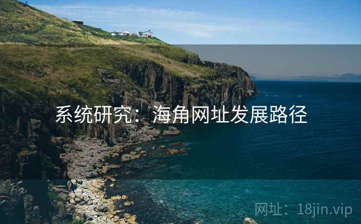 系统研究:海角网址发展路径