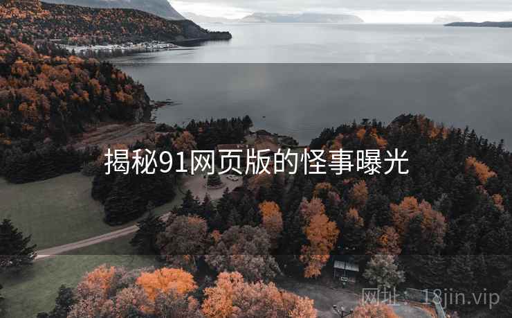 揭秘91网页版的怪事曝光
