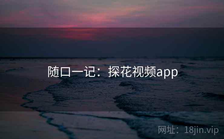 随口一记：探花视频app