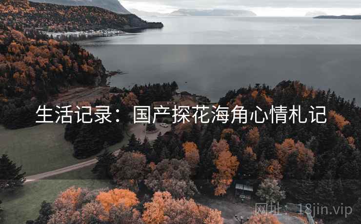 生活记录:国产探花海角心情札记