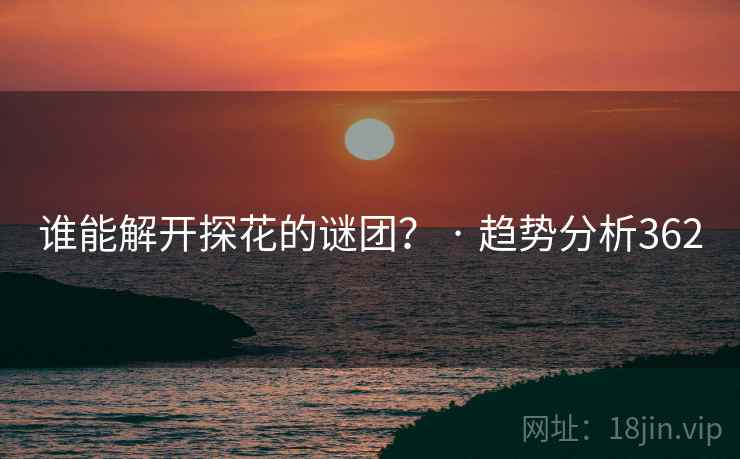 谁能解开探花的谜团? · 趋势分析362