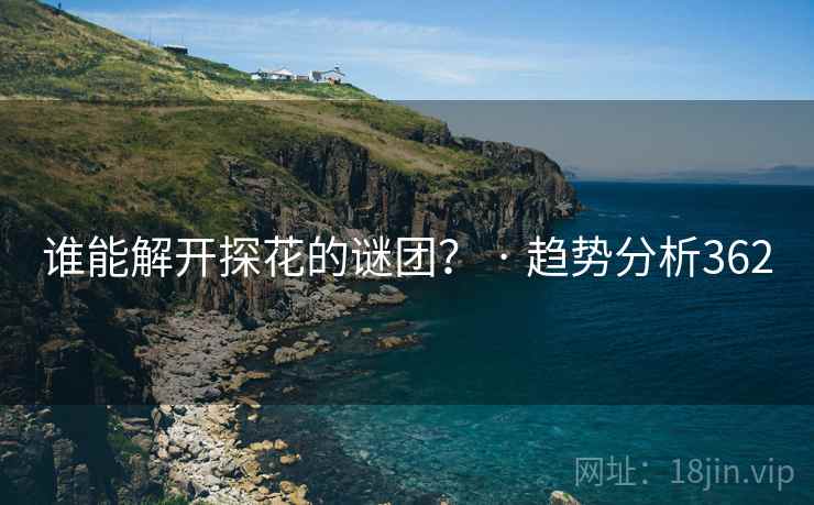 谁能解开探花的谜团? · 趋势分析362