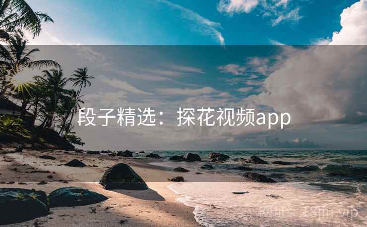 段子精选:探花视频app