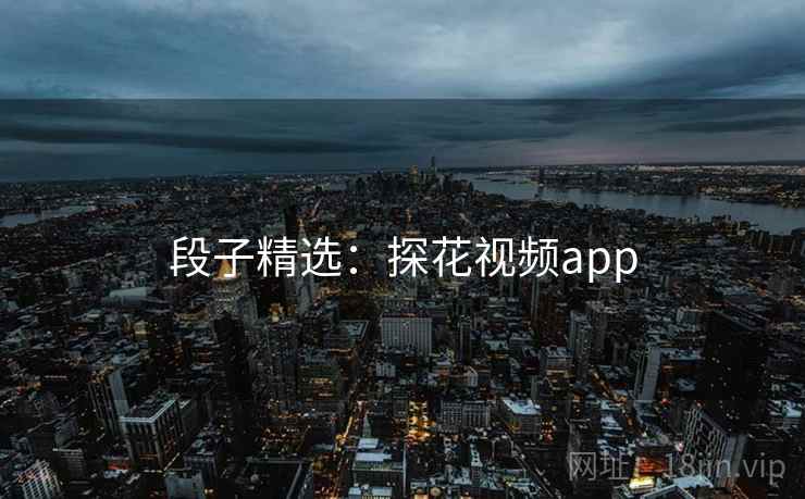 段子精选:探花视频app