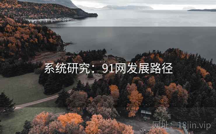 系统研究:91网发展路径