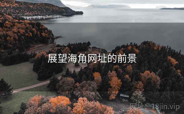 展望海角网址的前景